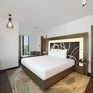 Ocean The Near Delhi Airport Hotel New Delhi